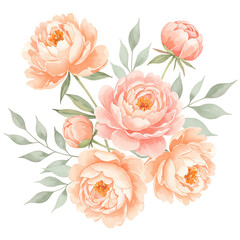 Peach Peonies Watercolor Floral Arrangement
