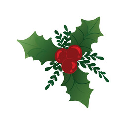holly leaves and berries