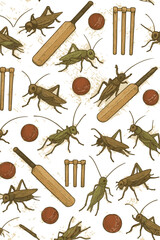 "Cricket Sport Seamless Pattern with Grasshoppers, Bat, Ball and Stumps &ndash; Creative Insect Illustration Background"