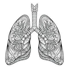 Medical Anatomical Vector Illustration of Human Lungs with Bronchial Tree in Black and White Detailed Style