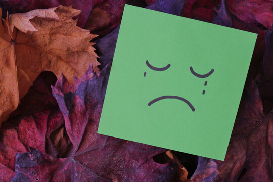 carita triste melancolica oto&ntilde;o fondo hojas parra