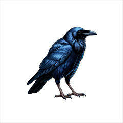 Fototapeta premium Illustration of a majestic blue raven standing tall