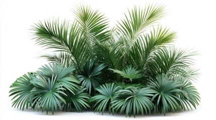 Lush green tropical foliage cluster, isolated on white background.