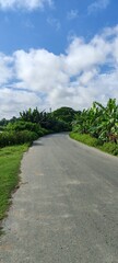 A serene winding road embraced by lush green foliage, stretches under a brilliant blue sky adorned with white clouds, offering a peaceful journey into nature.