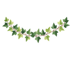 Elegant Watercolor Ivy Vine Border
