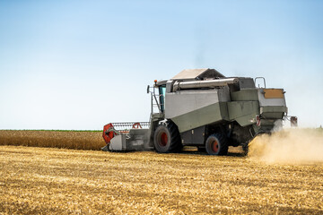 Obraz premium Modern combine harvester at work during the wheat harvest season