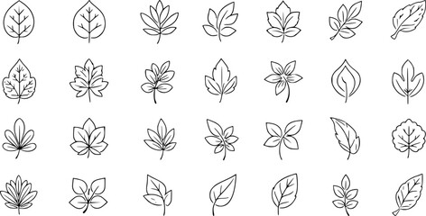 Set of simple leaf line icons.