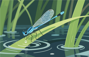 Insect vector graphics