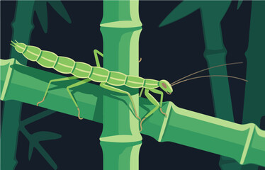Insect vector graphics