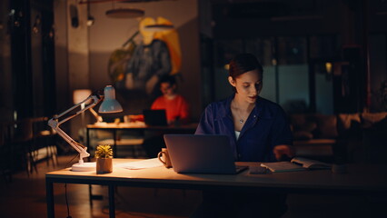 Night shift colleagues working at dark office. Professional woman manager laptop
