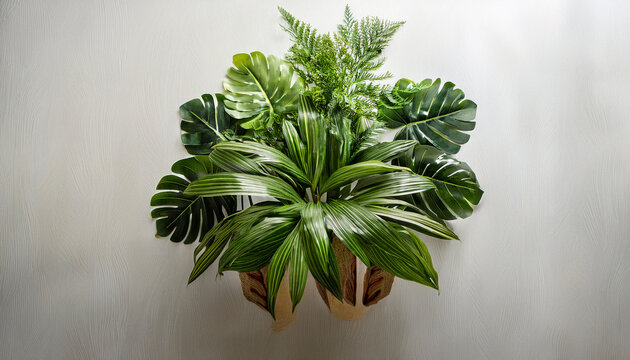 Symmetrical Green Plant Arrangement Light Surface