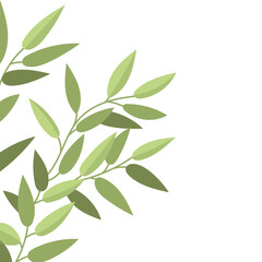 Stylized Green Leaves on Branches Vector Illustration Isolated on White.