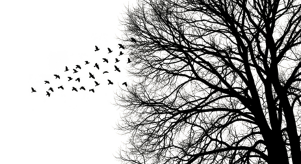 Ethereal tree shedding iridescent birdshaped leaves