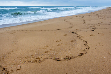 Footprints in the sand of the beach in Shkorpilovtsi, a small village and sea resort on the Northern Bulgarian Black Sea Coast, in front of the stormy sea waters
