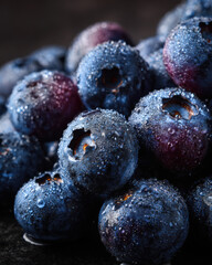 dew-covered organic blueberry macro with gradient purple