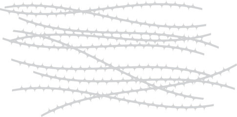 가시 나무 줄기 가시밭 가시 넝쿨 배경