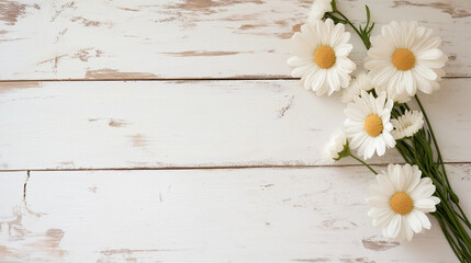 Obraz premium Daisy flowers on rustic wood background with white petals in spring nature bloom