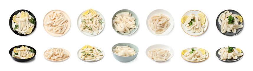 Squid rings isolated on white, set. Top and side view