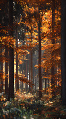 Exploring the Majestic Beaty and Vibrant Colors of Frests in Autumn: A Seasona Journey Through Nature's emarkable Transformation ad Enchanting Landscapes