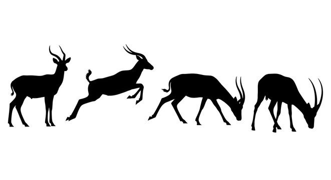 Black silhouettes of gazelles in various poses isolated on white background art