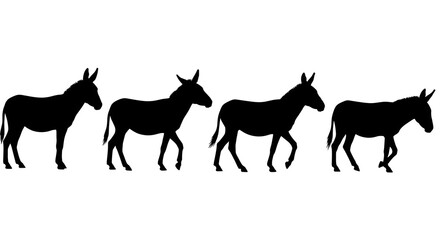 Obraz premium Silhouette of a group of donkeys walking in a row isolated on white background