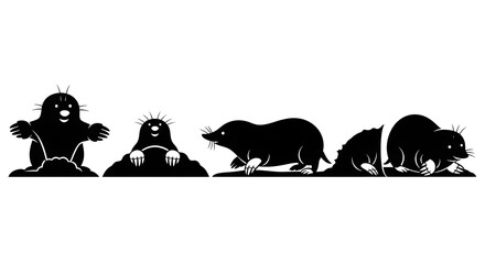 Moles in various poses isolated on white background, digging and standing