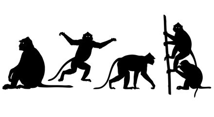 Silhouette of monkeys in various poses isolated on white background