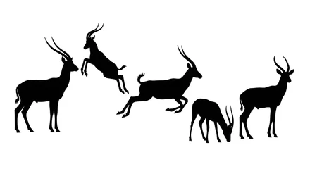 Gordijnen Antilope A group of antelope silhouettes isolated on white background are shown  © Kaalia