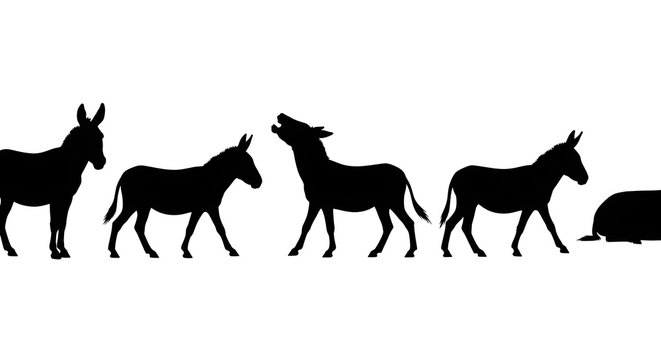 A series of donkey silhouettes isolated on white background are presented