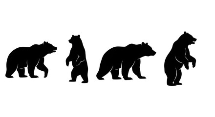Silhouette of bears isolated on white background in different stances