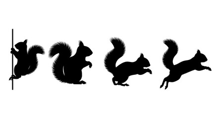 Obraz premium Silhouette of squirrels in various poses isolated on white background