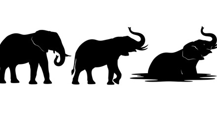 Silhouette of elephants in various poses isolated on white background