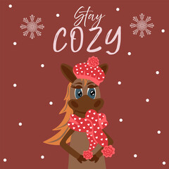 Stay cozy. Winter square design with cute horse. Funny animal. Holiday childish template for greeting card, poster or banner. Vector illustration