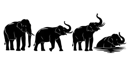 A group of elephants standing and swimming isolated on white background