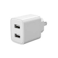 White dual port usb wall charger adapter for electronic devices