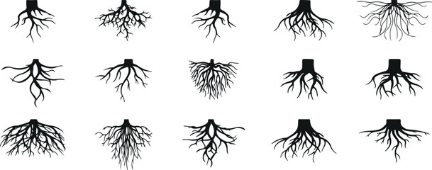 roots vector icons, tree roots outline, doodle root pack, black roots silhouette, minimal root artwork, root cartoon design, tree growth sketch, doodle eco roots, natural growth vector, hand drawn roo © Geetaroy