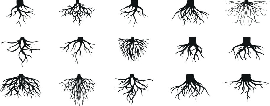 roots vector icons, tree roots outline, doodle root pack, black roots silhouette, minimal root artwork, root cartoon design, tree growth sketch, doodle eco roots, natural growth vector, hand drawn roo