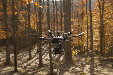 Golden aerial view of a forest with autumn foliage captured by a professional drone, highlighting vibrant fall colors and sunlight filtering through the trees. ideal for themes of innovation, nature © Yevhenii Khil