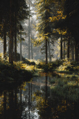 Exploring the Majestic Beaty and Vibrant Colors of Frests in Autumn: A Seasona Journey Through Nature's emarkable Transformation ad Enchanting Landscapes