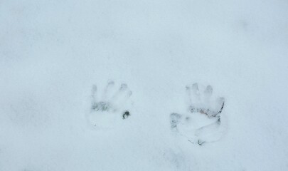 Handprints in Freshly Fallen Snow Near a Quiet Outdoor Location