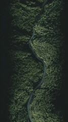 aerial. Aerial view of a serene forest road winding through lush greenery under natural daylight. travel magazines, destination branding, designed for travel destination branding.