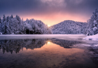 Fototapety na wymiar - Fototapeta24.pl