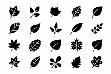 Collection of various leaf icons set of different leaf shapes and styles for nature, plant, and autumn designs and concepts