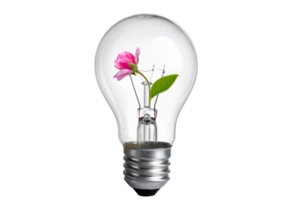 light bulb on white backgroundlight bulb on white background