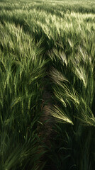 Exploring the Breadbasket f Agriculture: A Deep Diveinto Scenic Farmlands and ountiful Crops Across the lobe, Highlighting Sustainble Practices and EconomicImportance