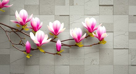 Pink Magnolia Blossoms on Grey Stone Tiles flowers branch buds spring nature floral background texture wall design decor home decor spa