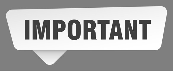 important sign. important white sticker isolated on gray background