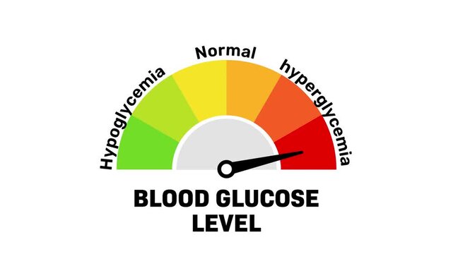 Blood Glucose Level Gauge Hypoglycemia, Normal, and Hyperglycemia, Animated Blood Sugar Meter for Diabetes Infographics
