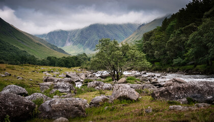 Solitary Echoes Embracing The Beauty Of Wilderness Through Hj Campbell Photography