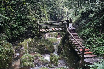 mount qingcheng, chengdu, china